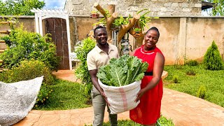 Huge Harvest 😱🌿 Full Sack of vegetables to Market + Fresh Raw  Honey from Combs 🍯💰