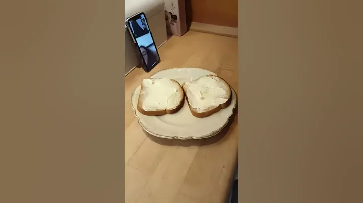 Toast shark