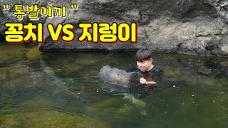 계곡 최고의 통발 미끼 최종 결승전!! 과연 결과는~ ??