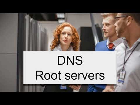 How do DNS Root servers work?