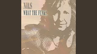 Vignette de la vidéo "Nils - What the Funk?"