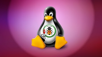 Windows 10 11 Windows Subsystem for Linux now available Microsoft Store General availability