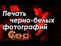 Печать черно белых фотографий