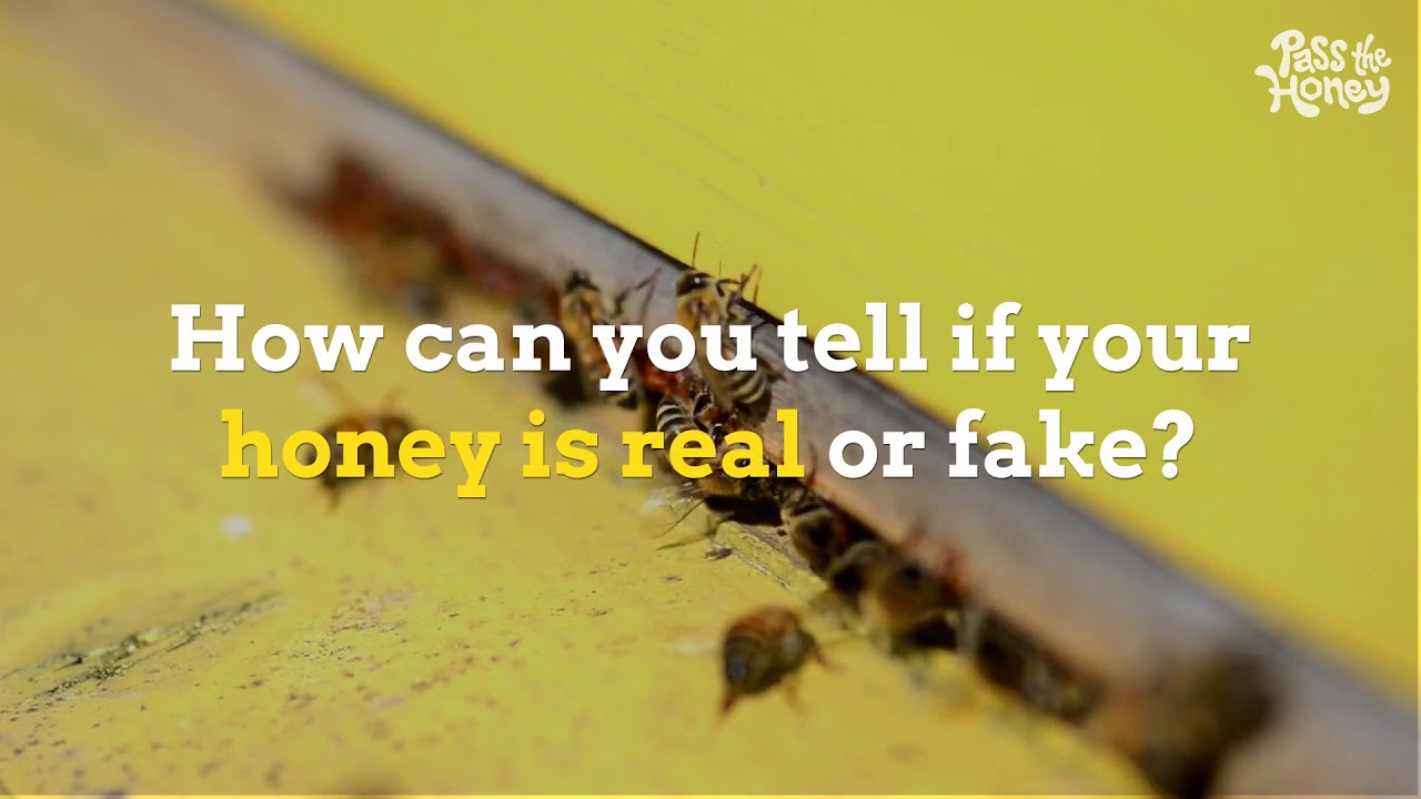 How to tell the Difference Between Real and Fake Honey