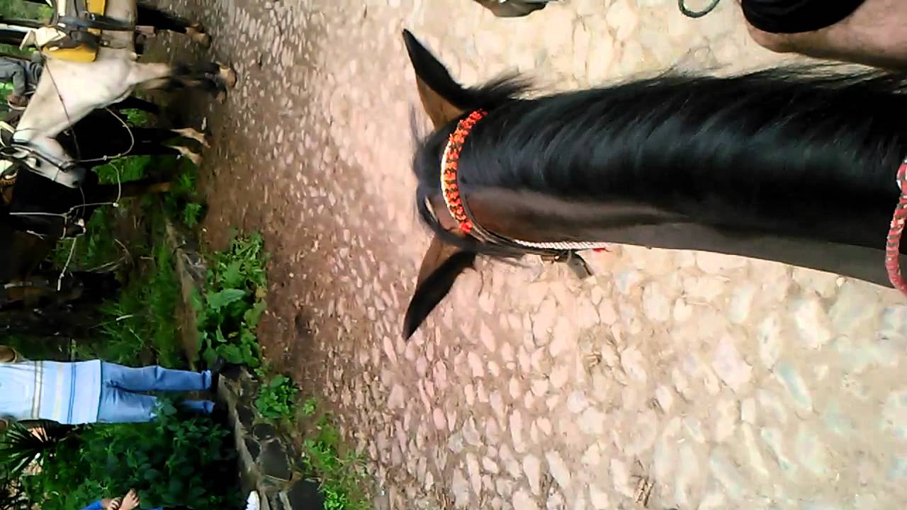 Horse back riding in jalisco 2014 YouTube