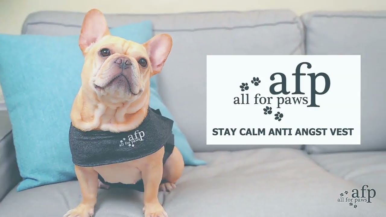 Stay Calm Anti Vest - YouTube
