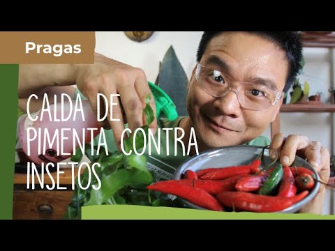 Vídeo: Herbicidas e Pimentas - Aprenda a Evitar Lesões por Herbicidas de Pimenta