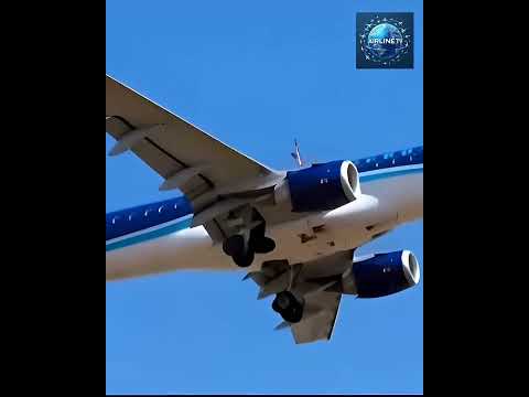 Как на самом деле упал самалёт и как это все призашло