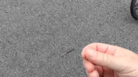 XP DEUS Reactivity and silencer demo