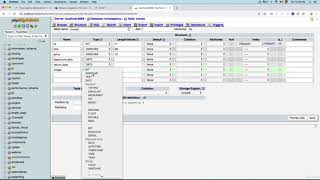 16  Adding the Table Columns