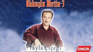 Akkuşlu Metin - Yayla Çiçeği Resimi