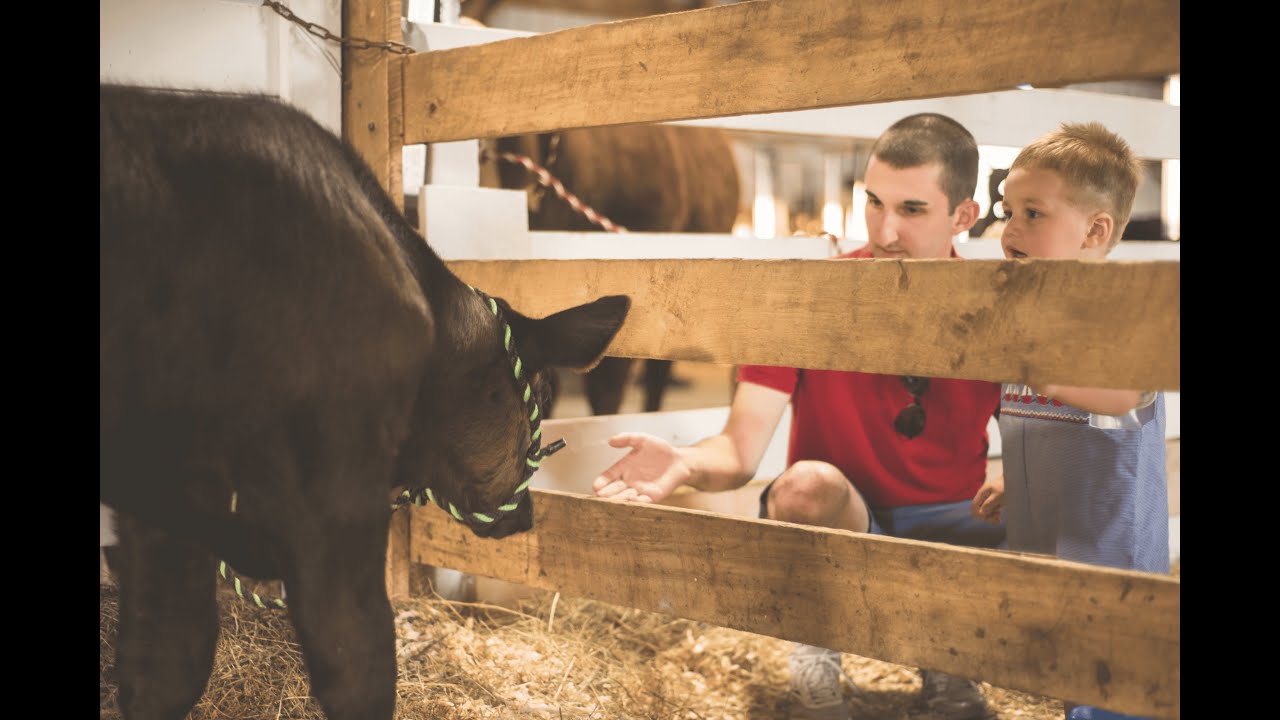 Community Connections - Stay healthy at the State Fair! 8/20/2025