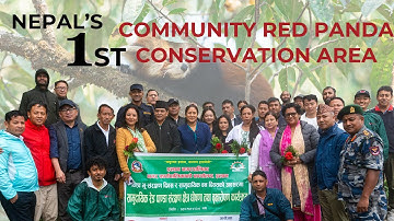 Nepal’s first Community Red Panda Conservation Area | Red Panda Network | Nepal