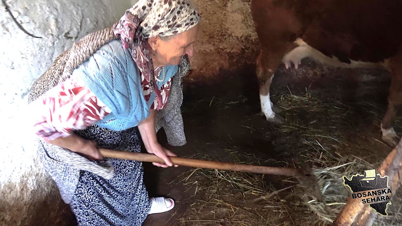 Iz Nahoreva zajašem konja pa na pijacu prodati MRS