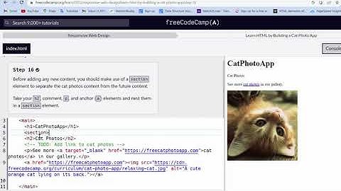 Learn HTML By building a cat photo app Step - 16 to 20 | freeCodeCamp Responsive Web Design
