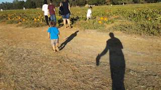 Nash Farm Family Day(10)