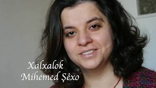 Xalxalok- Berfin Aktay #MihemedŞexo chords