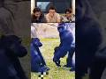 Tom Holland's reaction to this funny animated video part 25 #fyp #viralvideo #animated #funny