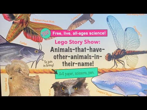 Lego Show: Animals that have the names of other animals!!