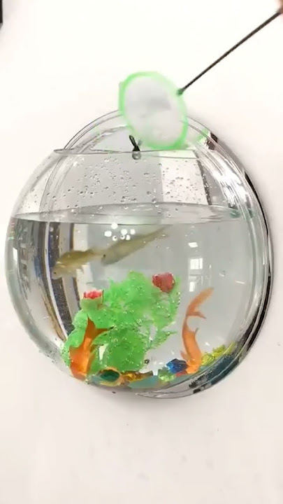 Cek Aquarium Gantung Bulat Dinding Tempel Hanging soliter  https://shope.ee/1fjHbcfvWc