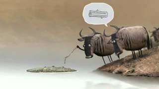 Antilop (Animasyon) Resimi
