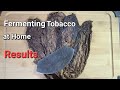 tobacco song south park Butt Out