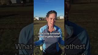 What is the smoothest breed of gaited horses?!