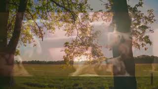 Download Lagu Wasamba Mubulowa  MP3