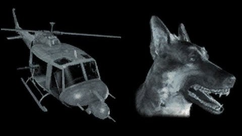 Black Ops: FLAWLESS FFA on Jungle