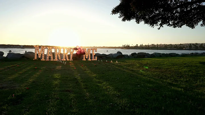 Veronica & Anthony Surprise Proposal Highlight!