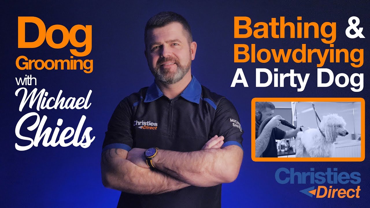 ЛУЧШИЕ средства для мытья ГРЯЗНОЙ СОБАКИ этой осенью/зимой от эксперта по грумингу собак!