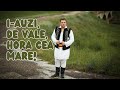 Nicu Mâță - I-auzi, de vale, hora cea mare! 2016