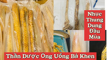 Nhục Thung Dung Sa Mạc | Những Chuyến Hàng Đầu Mùa Toàn Củ Vip