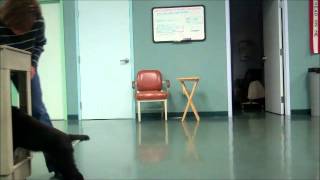 Junior File Clerk