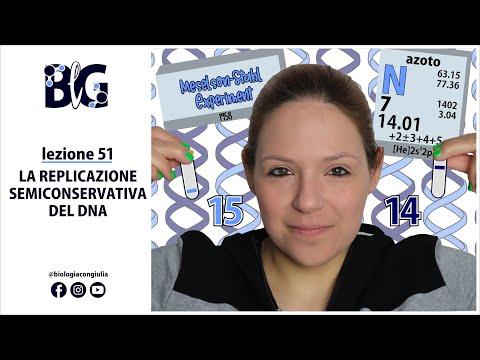 Video: Cosa è necessario per sintetizzare un nuovo filamento di DNA?