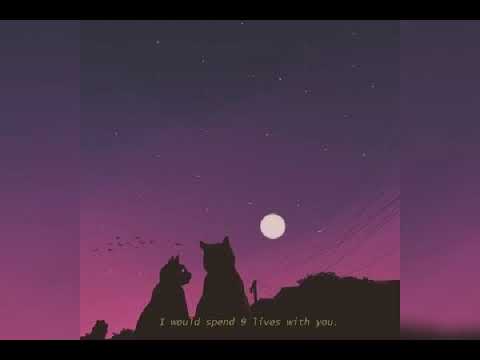 Count Me In - Dove Cameron ( s l o w e d )