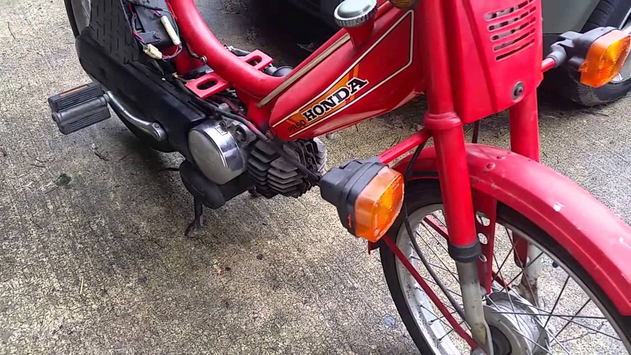 Honda pal 50