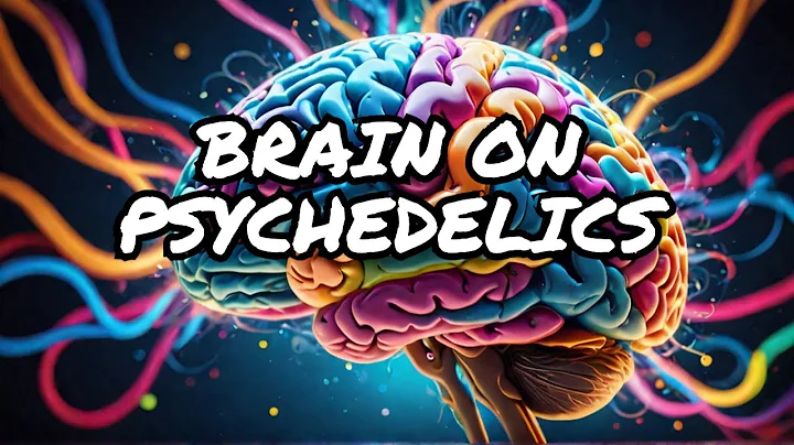 What Happens to Your Brain on Psychedelics?