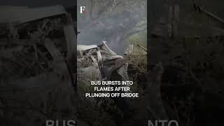 South Africa: 8-Year-Old Sole Survivor of Bus Crash That Killed 45 | Subscribe to Firstpost