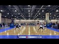 Camellia Ding 26 NEQ 2025 Highlights 