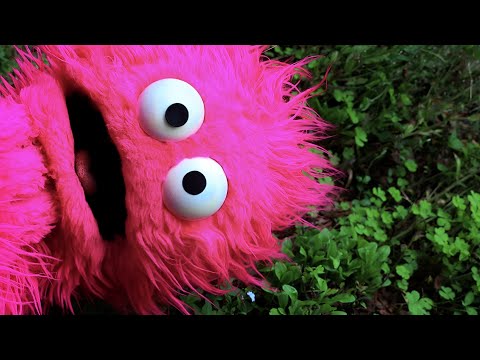 ASMR Lets Find A Four Leaf Clover 🍀 | Whispered Rambling & Outside Sounds