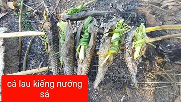 Cá Lau Kiếng Nướng Sả Đặc Sản Dân Miền Tây | Khánh Heo vlog