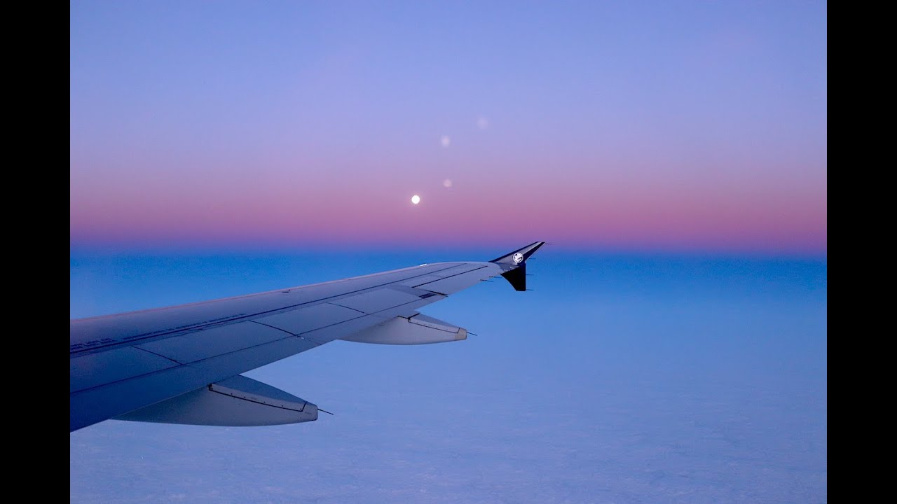 Air France A320 | Oslo - Paris Charles de Gaulle | Safety | Takeoff | Inflight | Landing