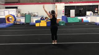 2019 Spring Showcase: Level 1 & Tumbling Beginners Routine