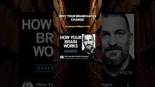 WHY YOUR BRAIN HATES CHANGE | #polymath #strategy #huberman #mindset #philosophy