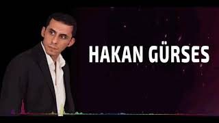 Hakan Gürses Şöyle Baktım Resimi