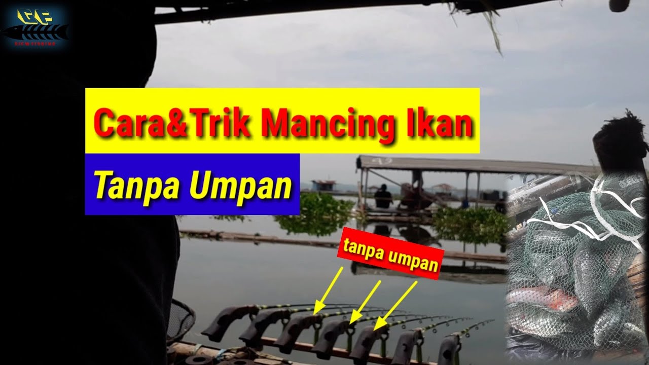 Cara&Trik Mancing Ikan Tanpa Umpan|| Mancing Jangari Cirata Terbaru2022