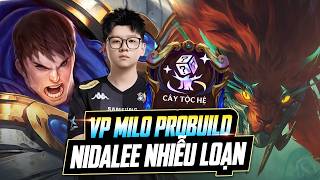 VP MILO ĐÁNH TAN ĐỊNH KIẾN VỀ IXTAL Ở GIAI ĐOẠN 4 - NIDALEE NHIỄU LOẠN GAREN DŨNG SĨ HỦY DIỆT LOBBY