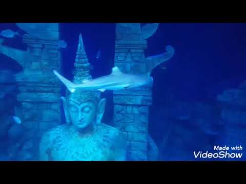 Экстрасенсорные способности в натальной карте