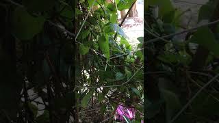 ｷﾑﾀｸ　挨拶を無視する人　ｸﾒﾋﾛｼ